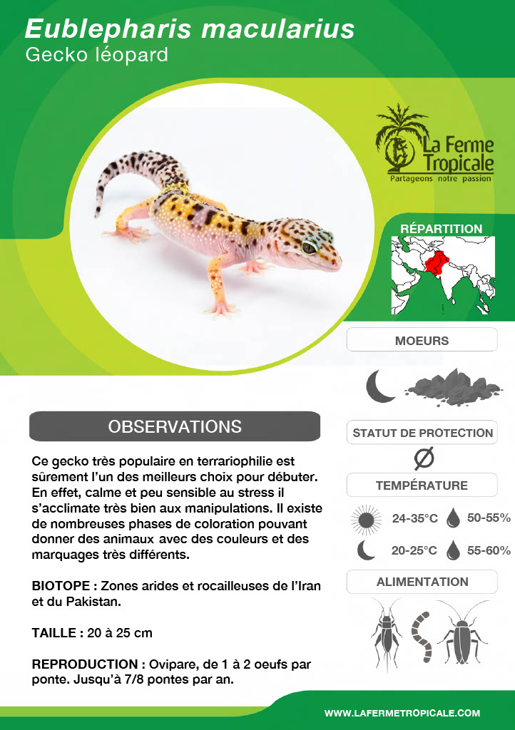 Fiches d élevage Lézards